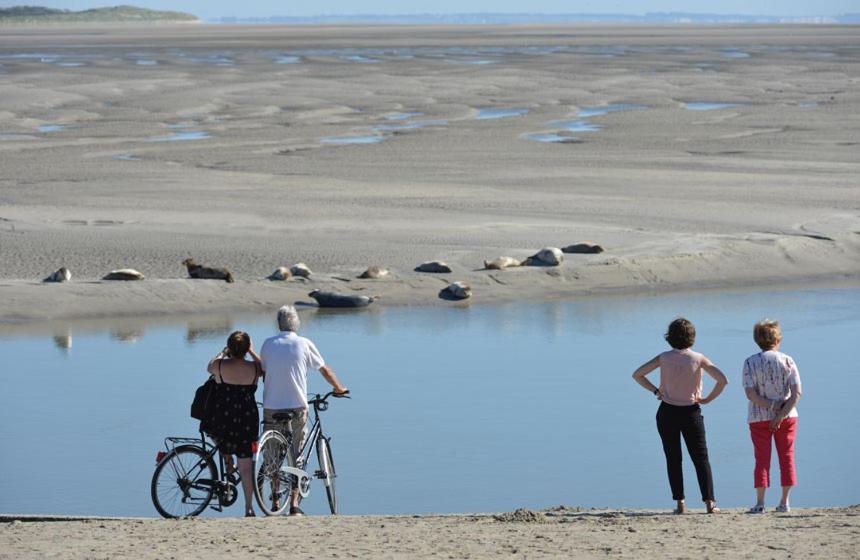 Paddle - Vue Mer - 100M Plage Berck Bagian luar foto