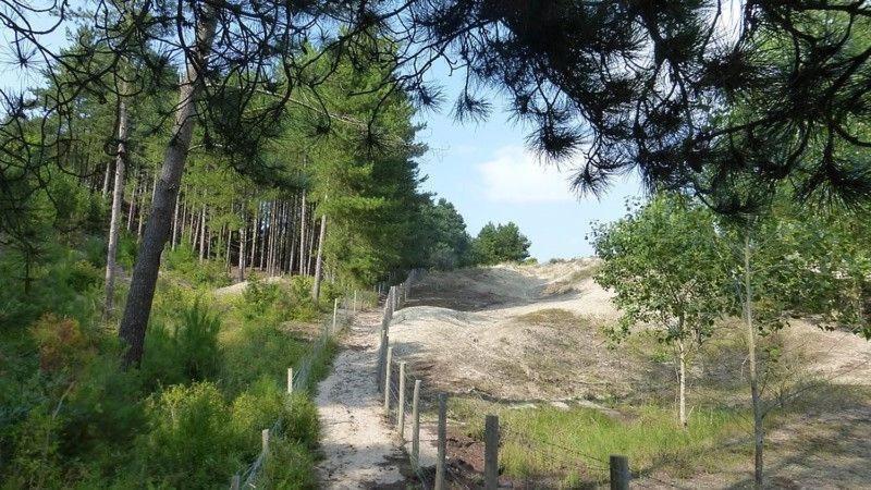 Paddle - Vue Mer - 100M Plage Berck Bagian luar foto