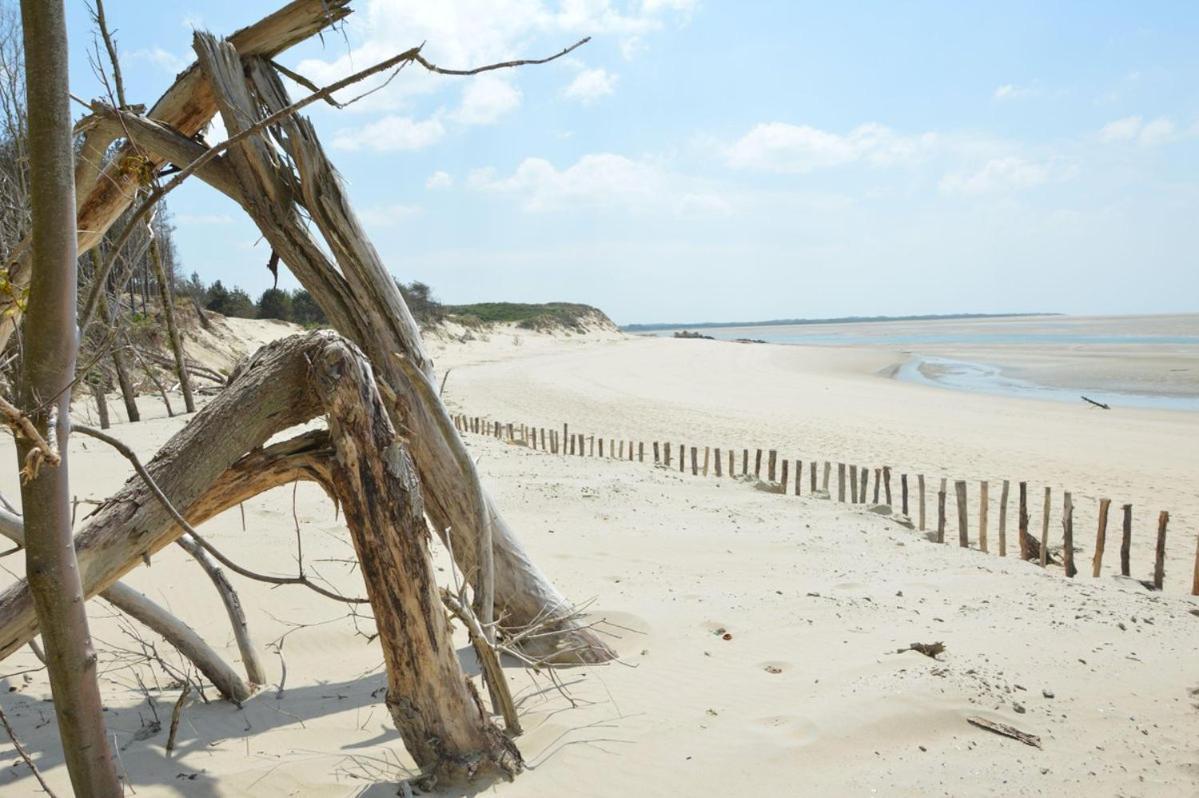 Paddle - Vue Mer - 100M Plage Berck Bagian luar foto